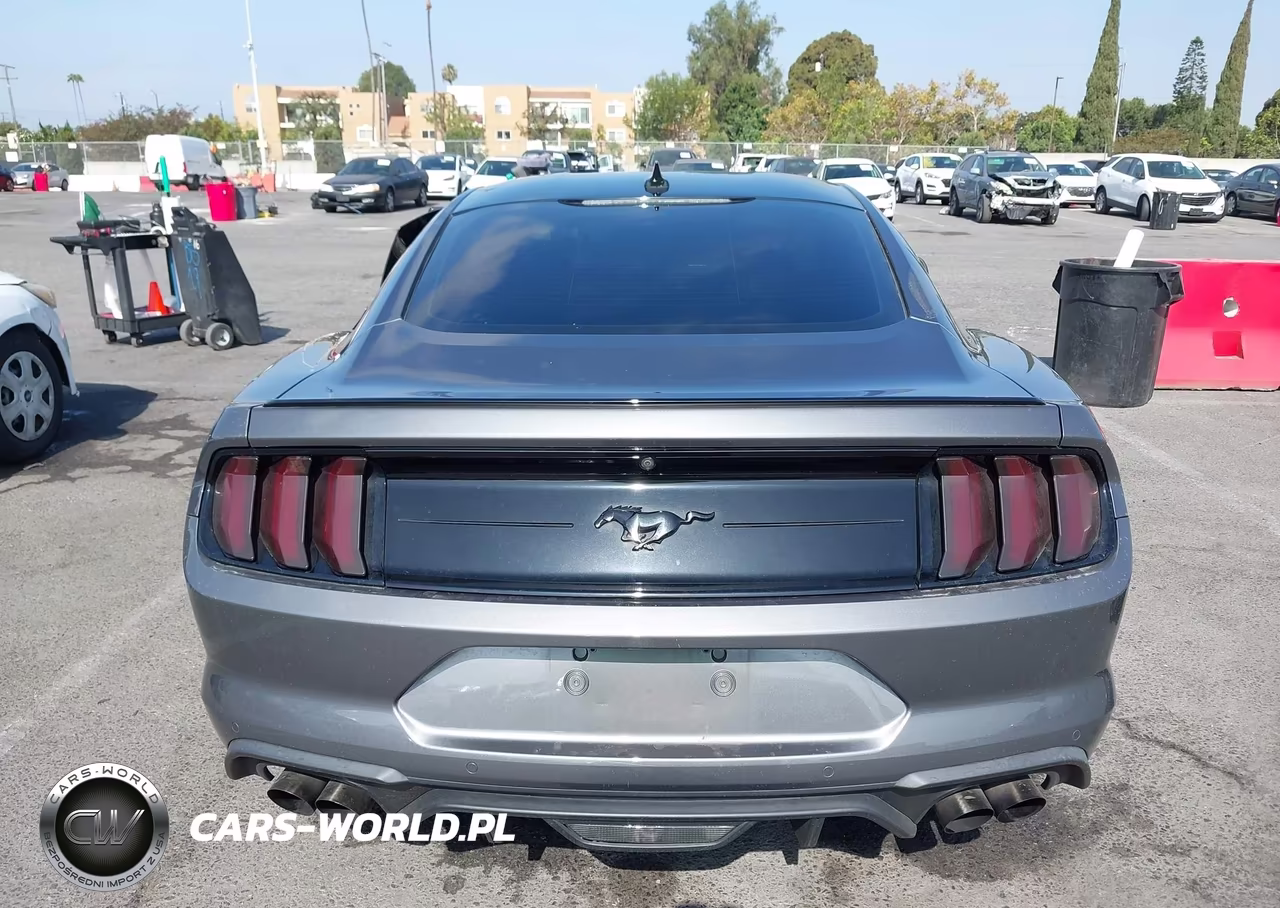2021 Ford Mustang Ecoboost Fastback VIN:1FA6P8TH7M5109978 - 17