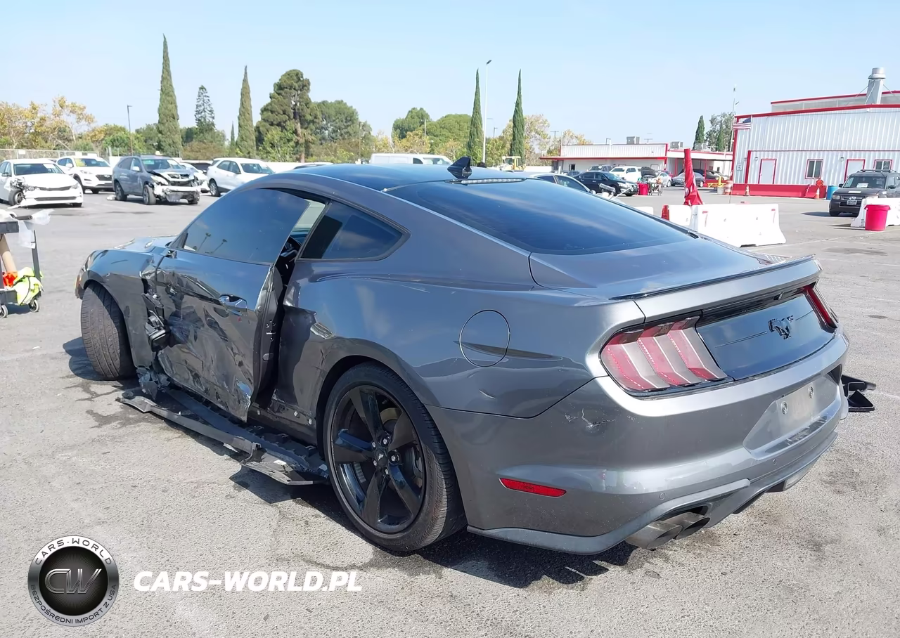 2021 Ford Mustang Ecoboost Fastback VIN:1FA6P8TH7M5109978 - 3