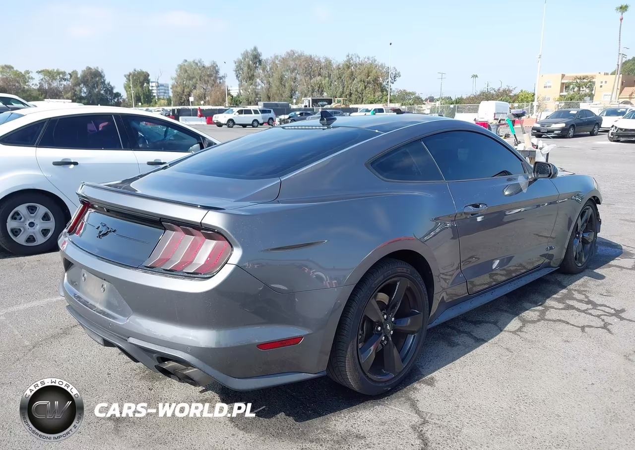 2021 Ford Mustang Ecoboost Fastback VIN:1FA6P8TH7M5109978 - 4