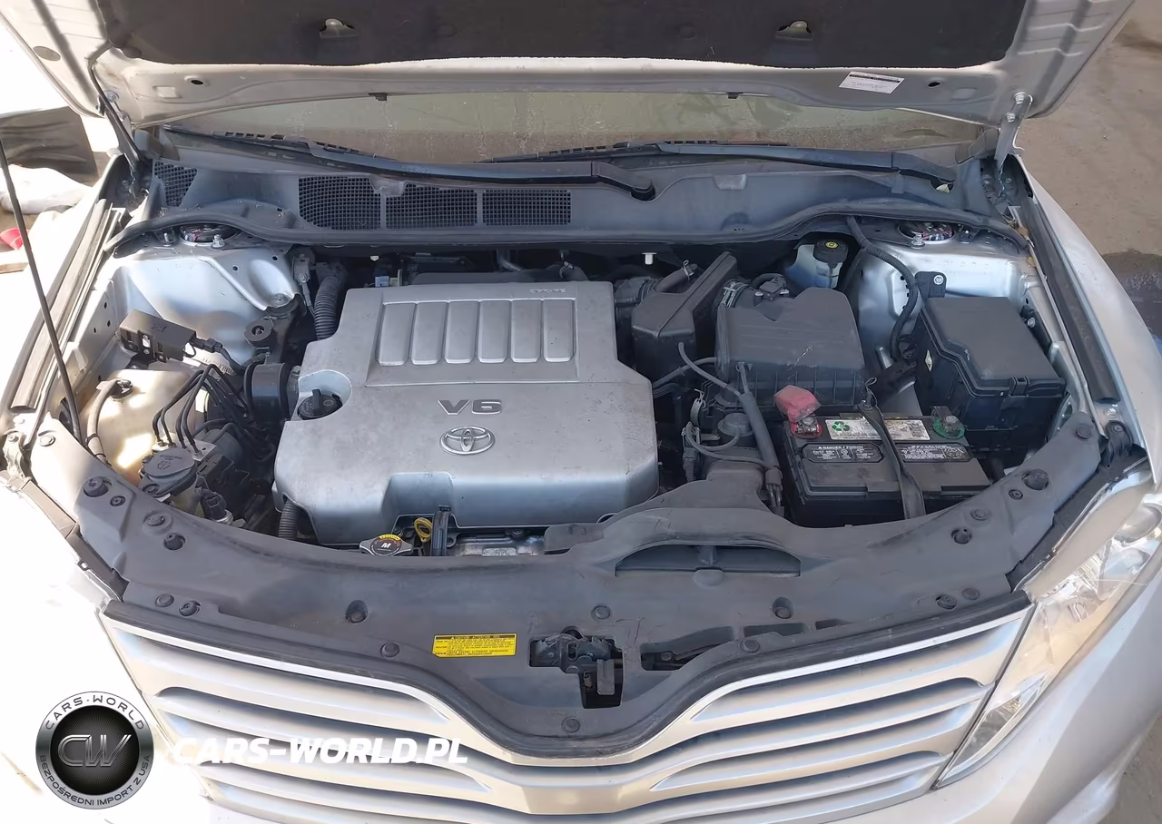 2010 Toyota Venza Base V6 VIN:4T3ZK3BB2AU027246 - 10