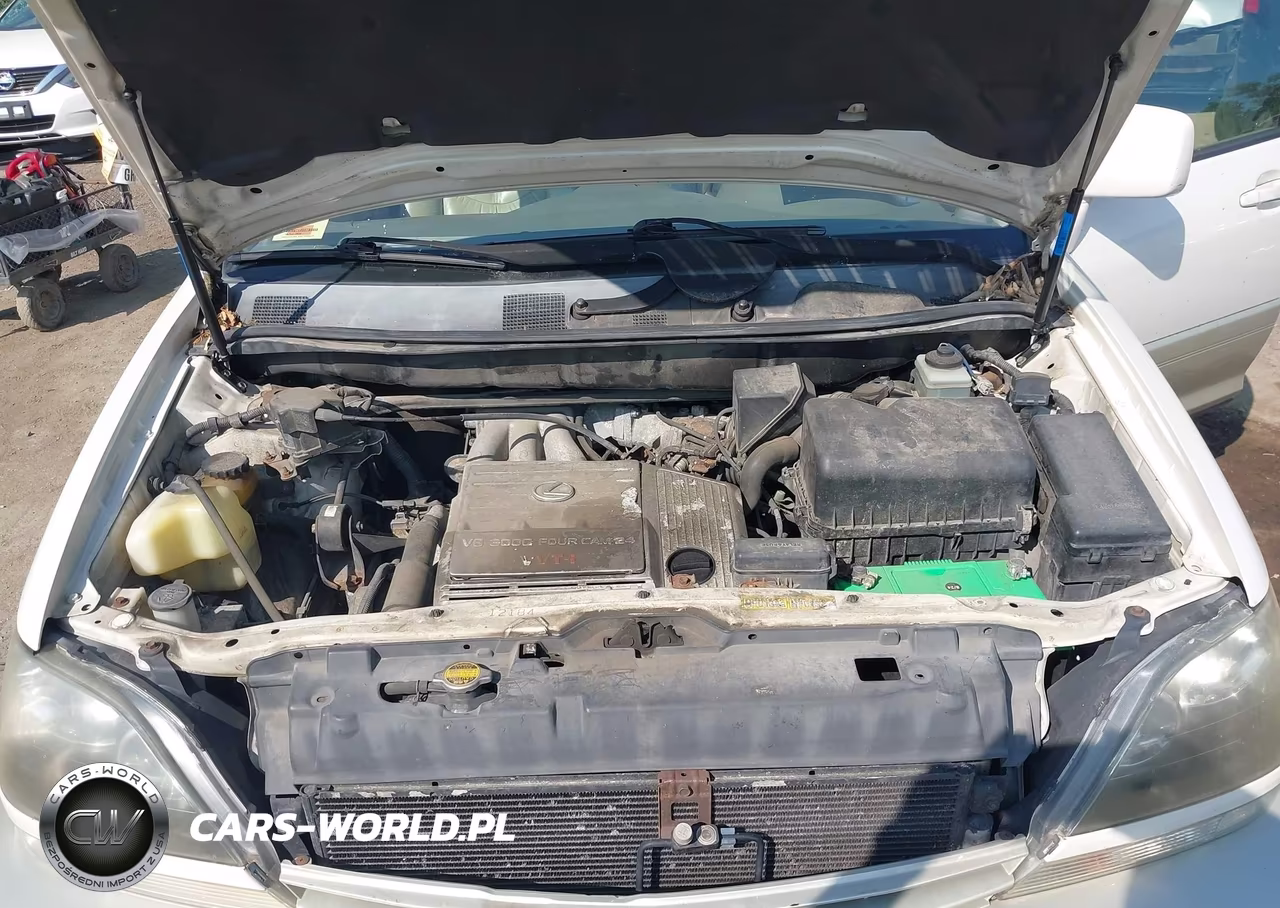 2000 Lexus Rx 300 VIN:JT6HF10U8Y0095629 - 10
