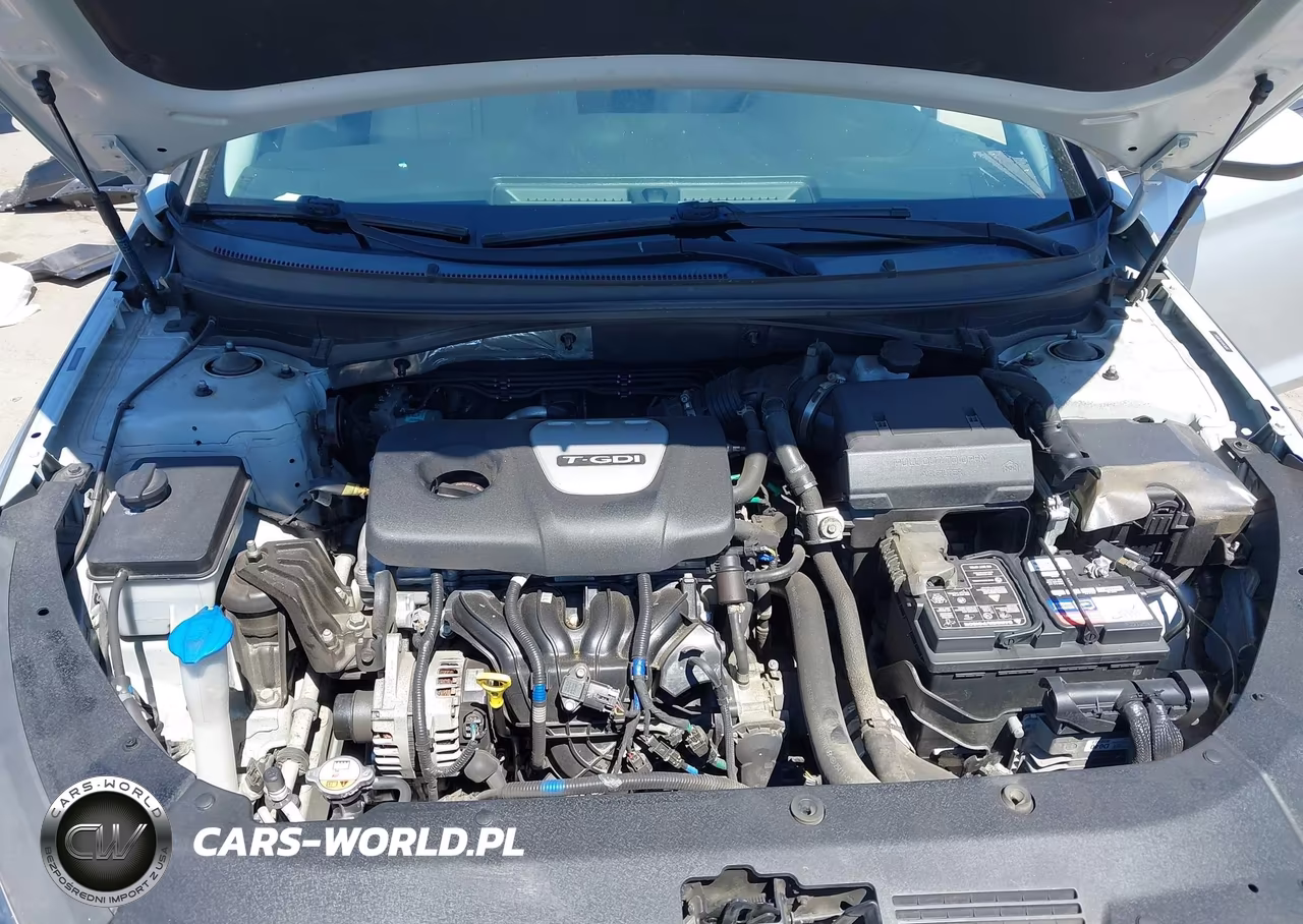 2019 Hyundai Sonata Eco VIN:5NPE24AA5KH801642 - 10