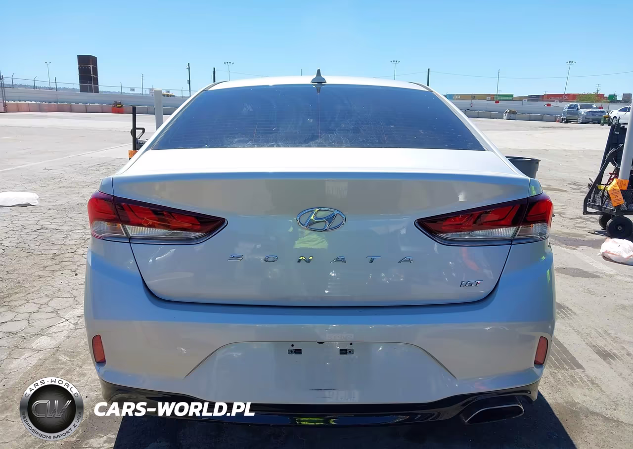 2019 Hyundai Sonata Eco VIN:5NPE24AA5KH801642 - 16