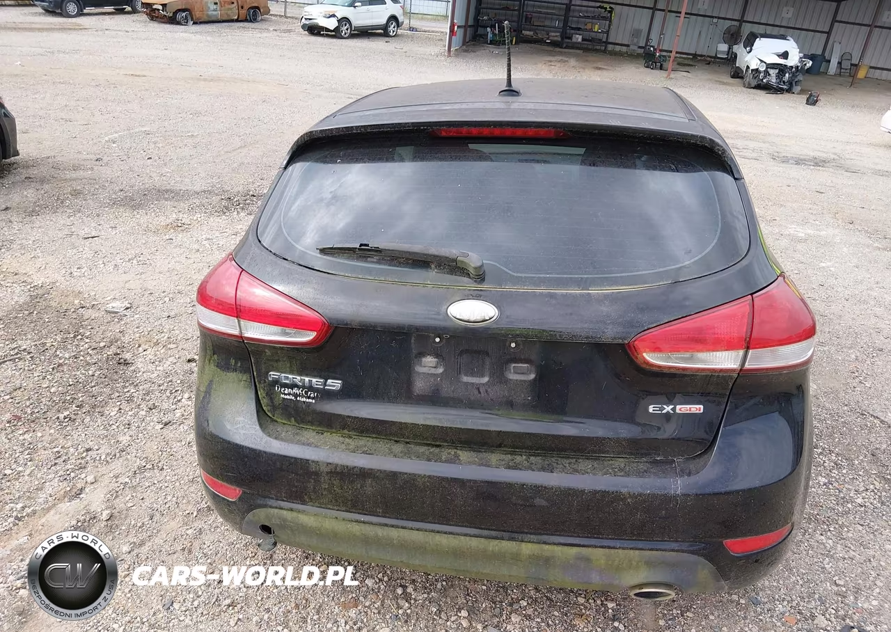 2016 Kia Forte Ex VIN:KNAFX5A87G5605229 - 17