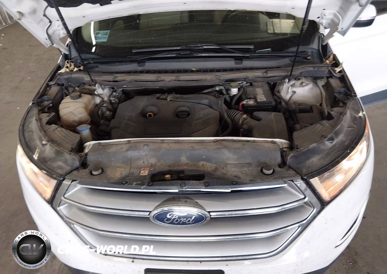 2016 Ford Edge Sel VIN:2FMPK4J94GBC53260 - 10