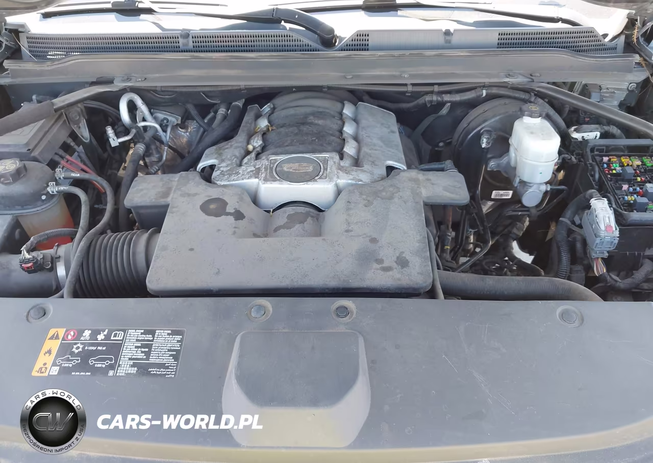 2019 Cadillac Escalade Luxury VIN:1GYS3BKJ0KR102103 - 10