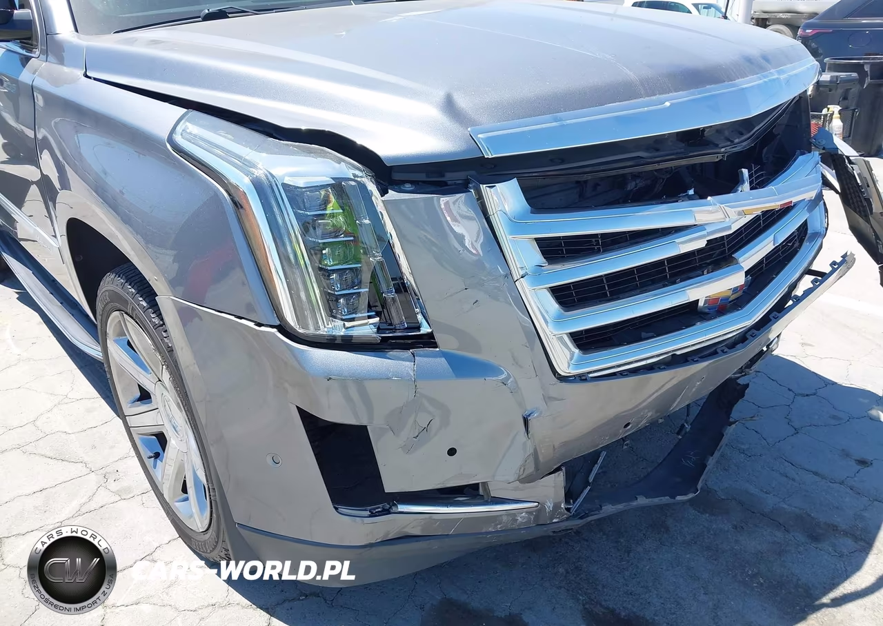 2019 Cadillac Escalade Luxury VIN:1GYS3BKJ0KR102103 - 21