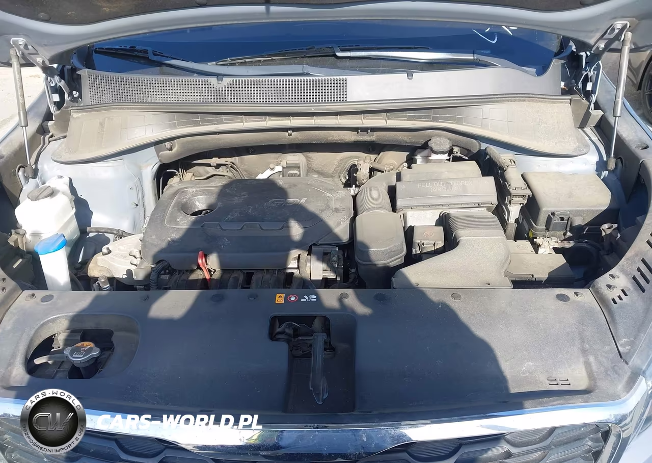 2020 Kia Sorento 2.4L Lx VIN:5XYPG4A39LG711205 - 10