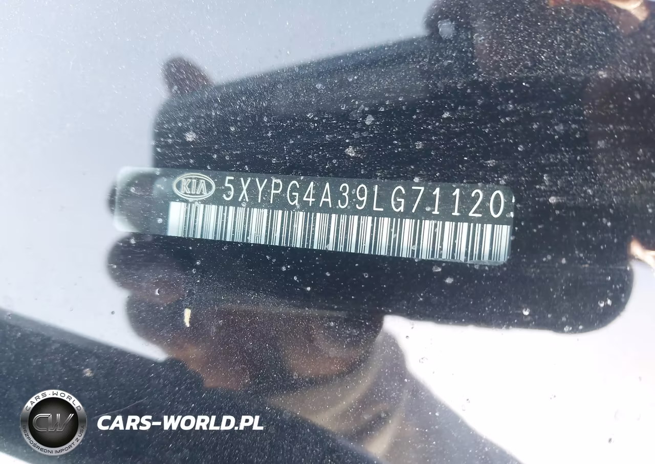 2020 Kia Sorento 2.4L Lx VIN:5XYPG4A39LG711205 - 16