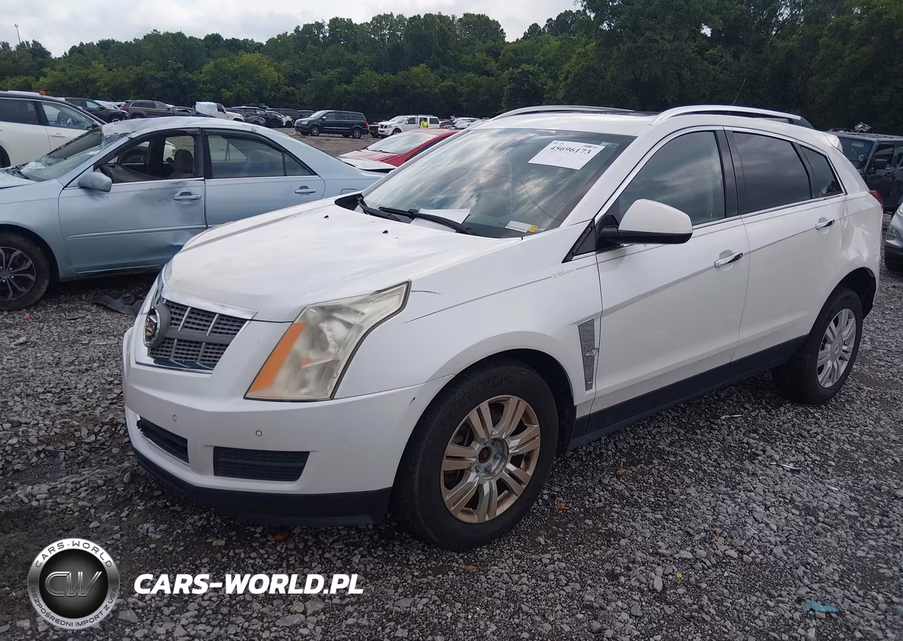 2010 Cadillac Srx Luxury Collection VIN:3GYFNAEY4AS629829 - 2