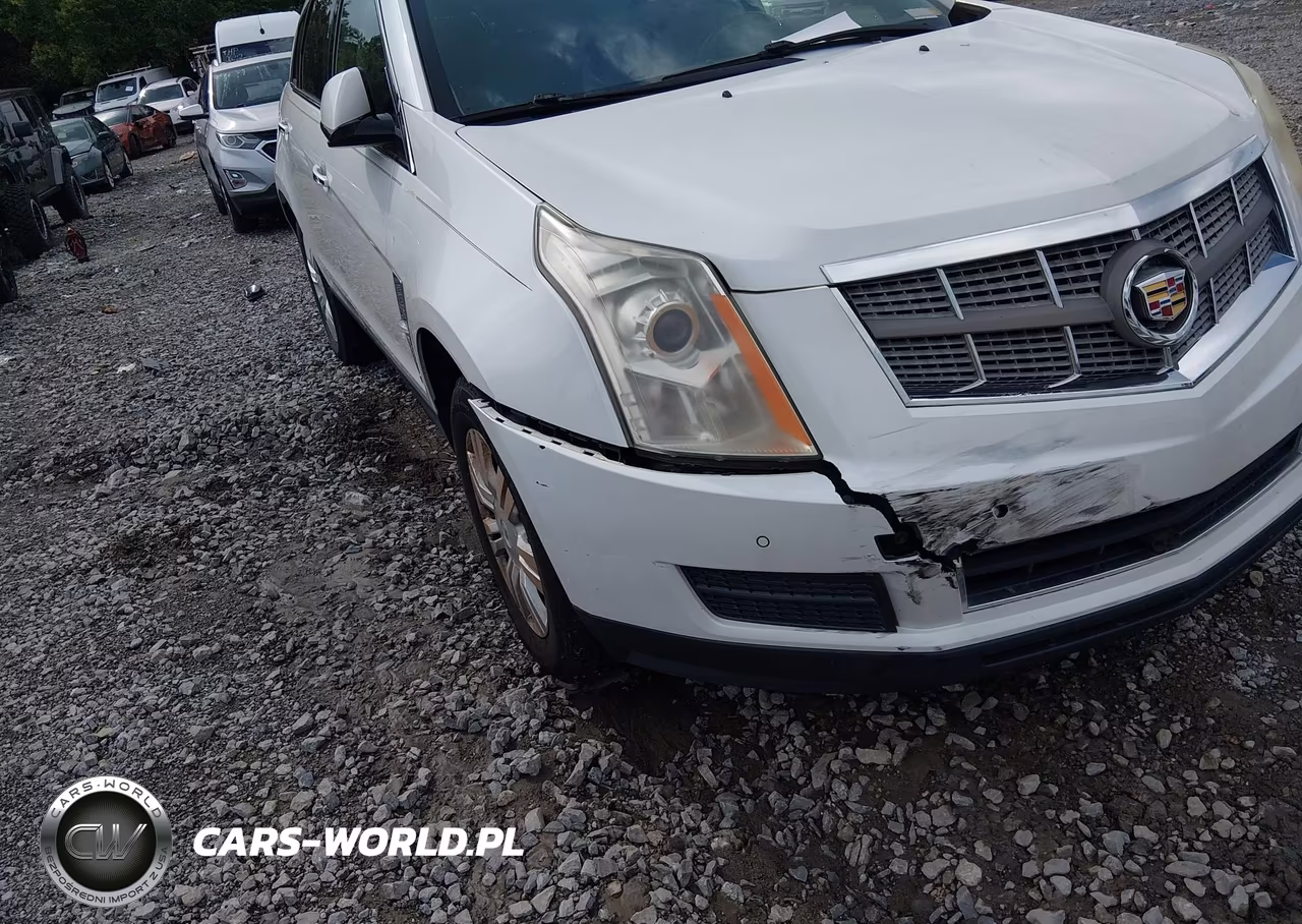2010 Cadillac Srx Luxury Collection VIN:3GYFNAEY4AS629829 - 6