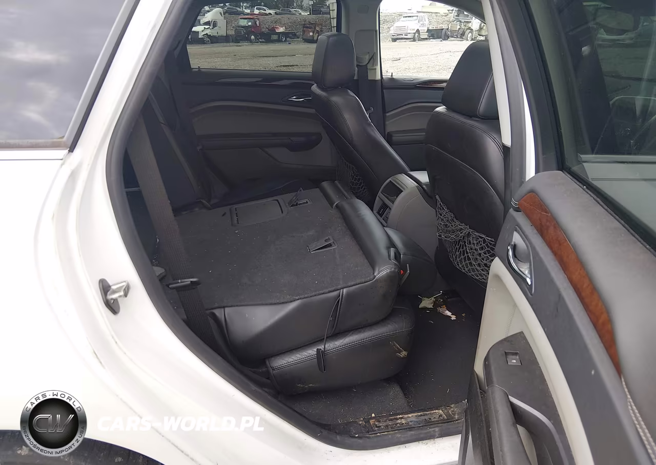 2010 Cadillac Srx Luxury Collection VIN:3GYFNAEY4AS629829 - 8