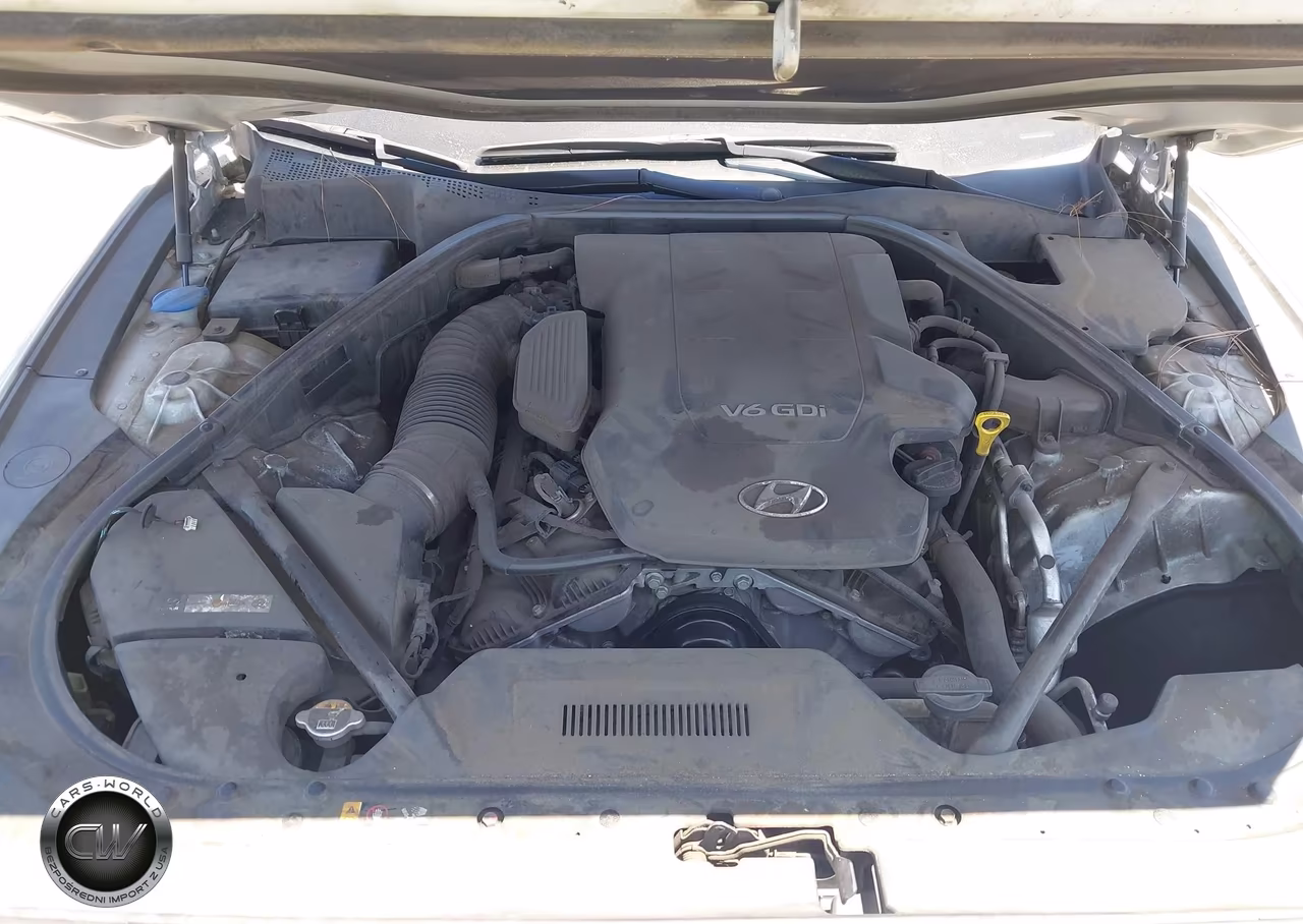 2016 Hyundai Genesis 3.8 VIN:KMHGN4JE6GU135502 - 10