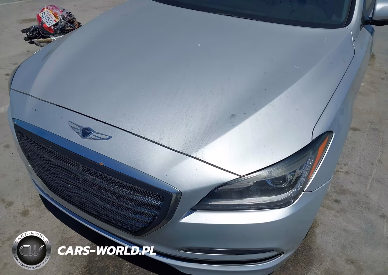 2016 Hyundai Genesis 3.8 VIN:KMHGN4JE6GU135502 - 6