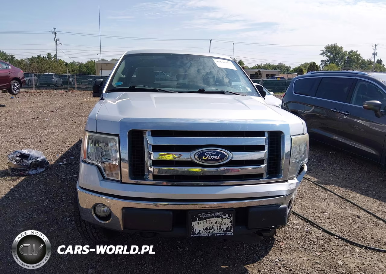 2010 Ford F-150 Fx4-Harley-Davidson-King Ranch-Lariat-Platinum-Xl-Xlt VIN:1FTFW1EV2AFC34495 - 12