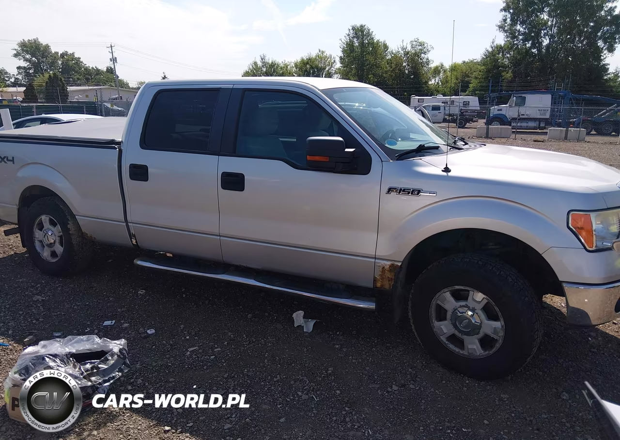 2010 Ford F-150 Fx4-Harley-Davidson-King Ranch-Lariat-Platinum-Xl-Xlt VIN:1FTFW1EV2AFC34495 - 13