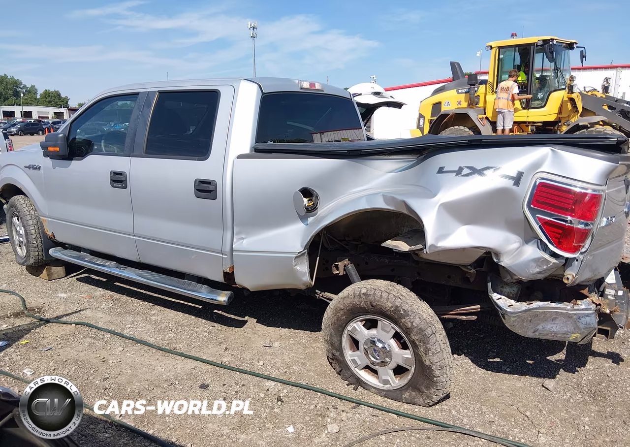 2010 Ford F-150 Fx4-Harley-Davidson-King Ranch-Lariat-Platinum-Xl-Xlt VIN:1FTFW1EV2AFC34495 - 14