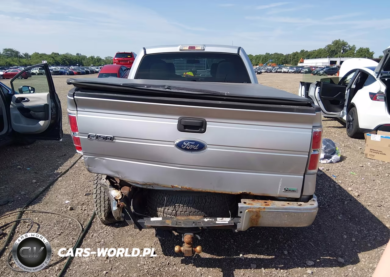 2010 Ford F-150 Fx4-Harley-Davidson-King Ranch-Lariat-Platinum-Xl-Xlt VIN:1FTFW1EV2AFC34495 - 16