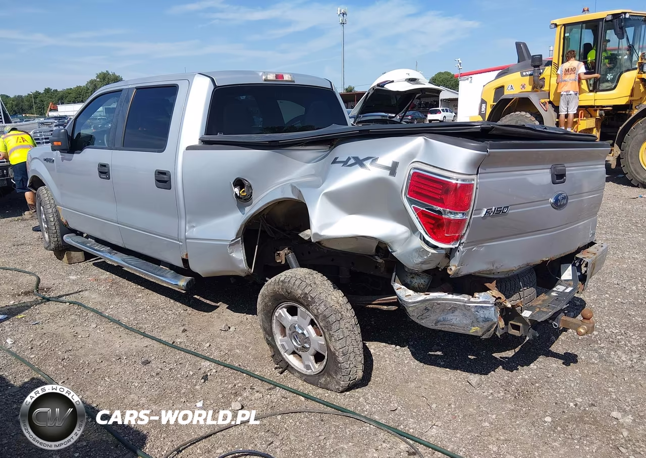 2010 Ford F-150 Fx4-Harley-Davidson-King Ranch-Lariat-Platinum-Xl-Xlt VIN:1FTFW1EV2AFC34495 - 3