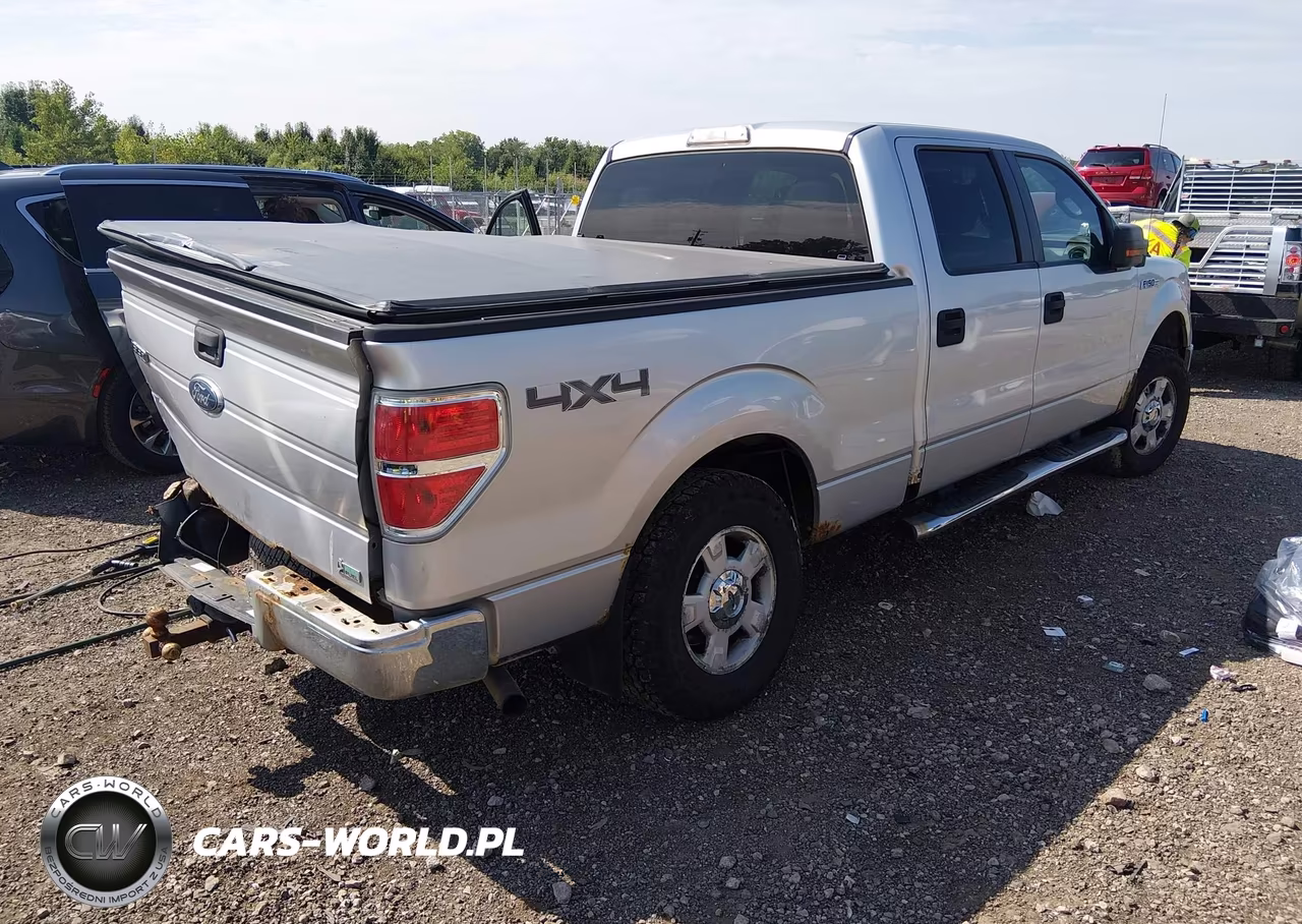 2010 Ford F-150 Fx4-Harley-Davidson-King Ranch-Lariat-Platinum-Xl-Xlt VIN:1FTFW1EV2AFC34495 - 4