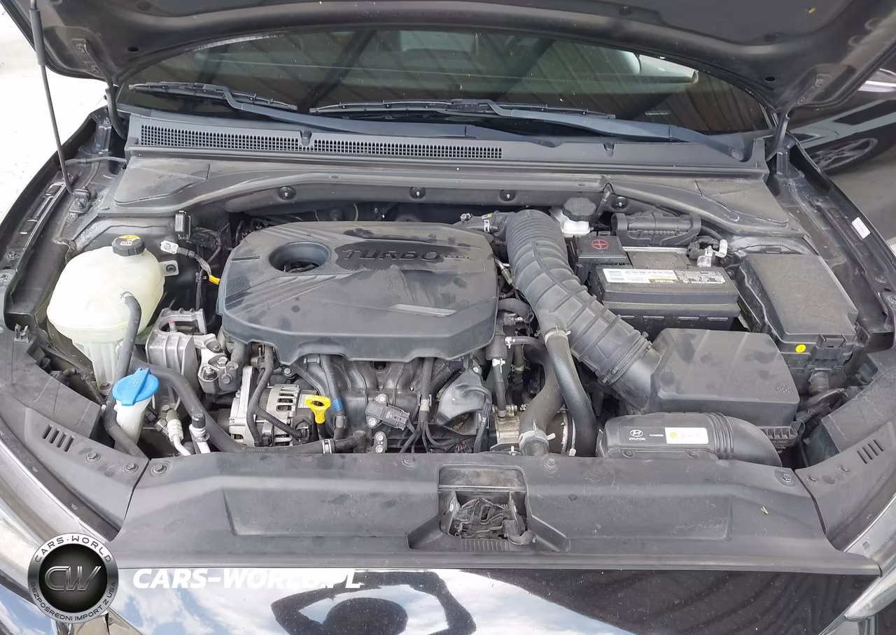 2020 Hyundai Veloster Turbo VIN:KMHTH6ABXLU021424 - 10