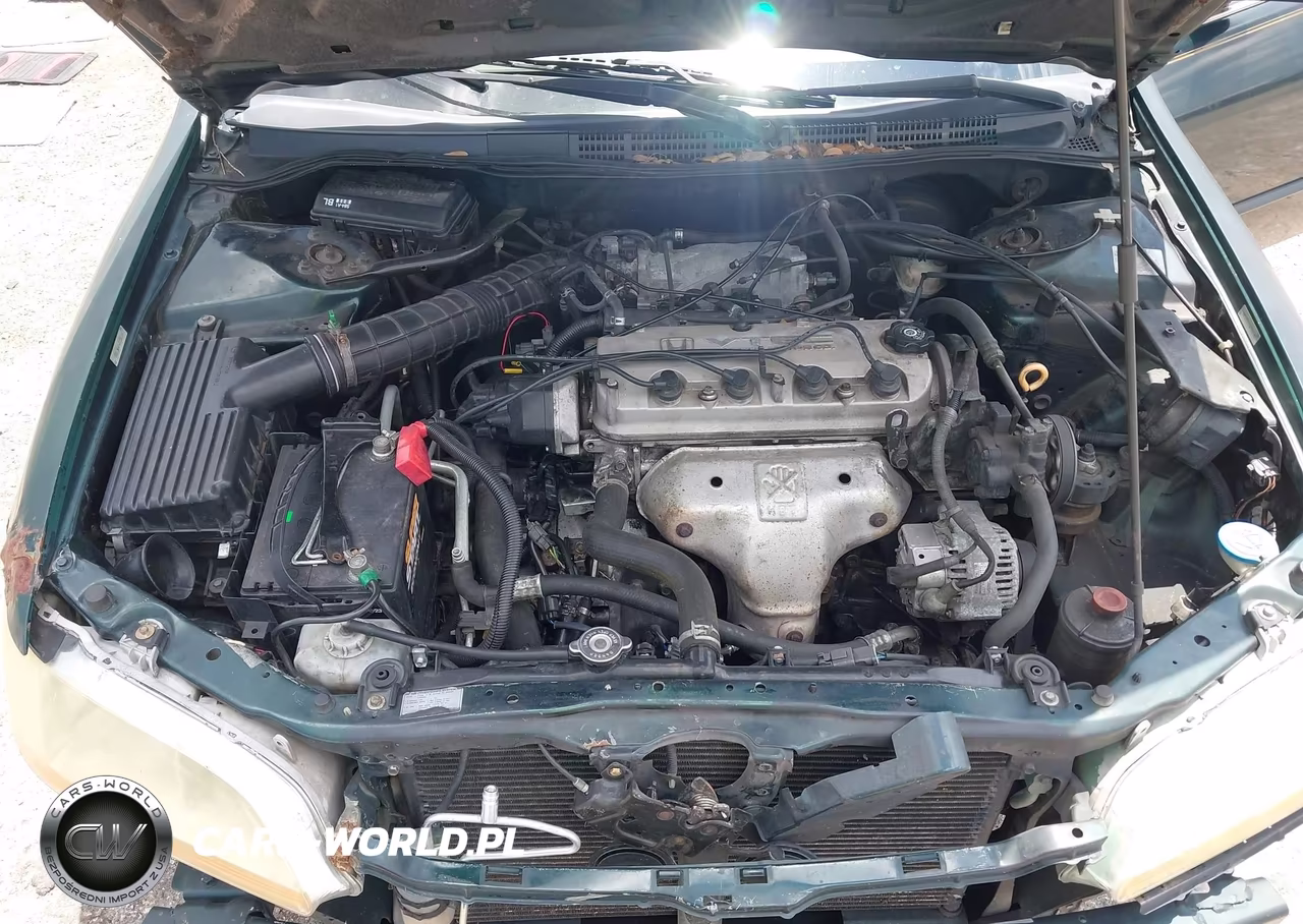 1998 Honda Accord Lx VIN:1HGCG5647WA109169 - 10