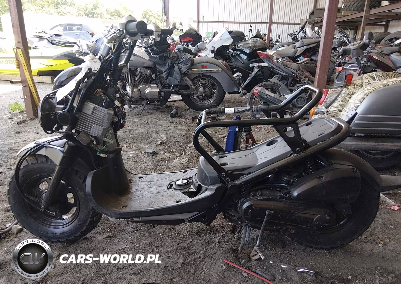 2017 Honda Nps50 VIN:JH2AF5812HK503601 - 13