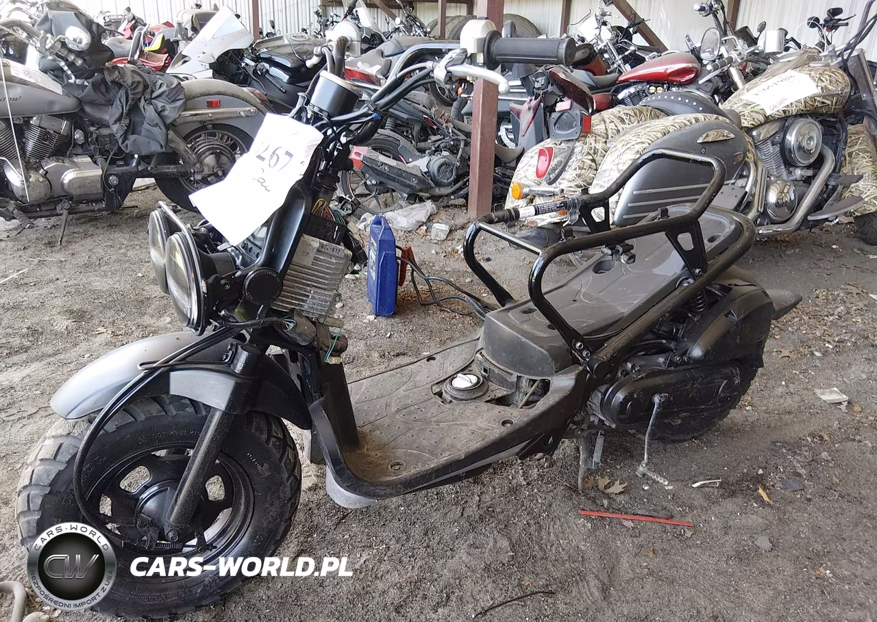 2017 Honda Nps50 VIN:JH2AF5812HK503601 - 2