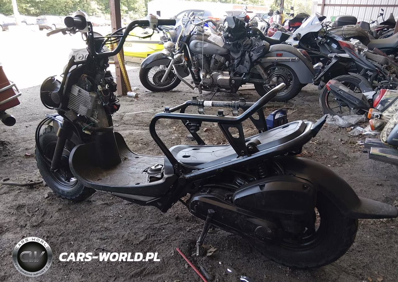 2017 Honda Nps50 VIN:JH2AF5812HK503601 - 3