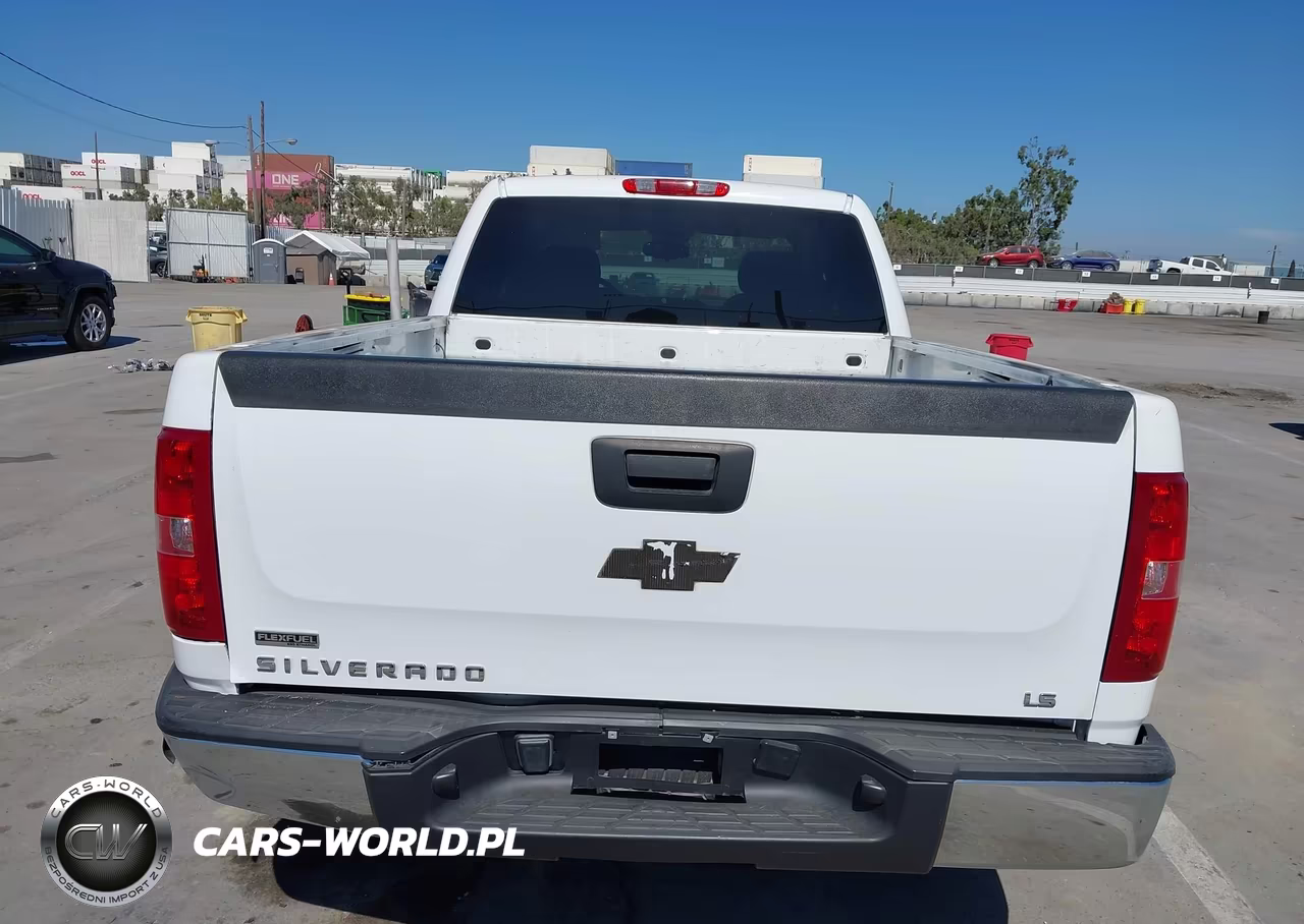 2010 Chevrolet Silverado 1500 Ls VIN:1GCSCREA8AZ185840 - 16