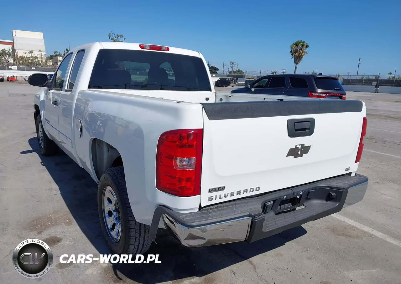 2010 Chevrolet Silverado 1500 Ls VIN:1GCSCREA8AZ185840 - 6