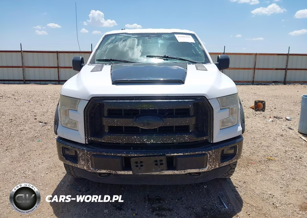 2015 Ford F-150 Xlt VIN:1FTEW1EG6FKE29186 - 12