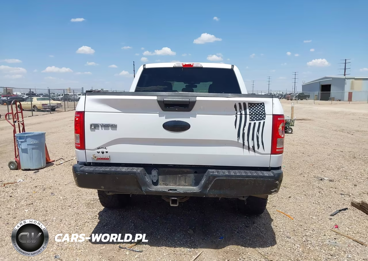 2015 Ford F-150 Xlt VIN:1FTEW1EG6FKE29186 - 16