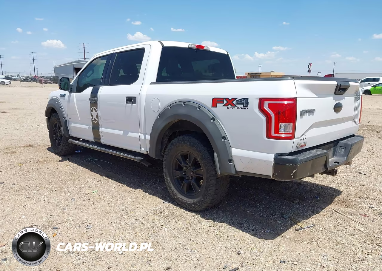 2015 Ford F-150 Xlt VIN:1FTEW1EG6FKE29186 - 3