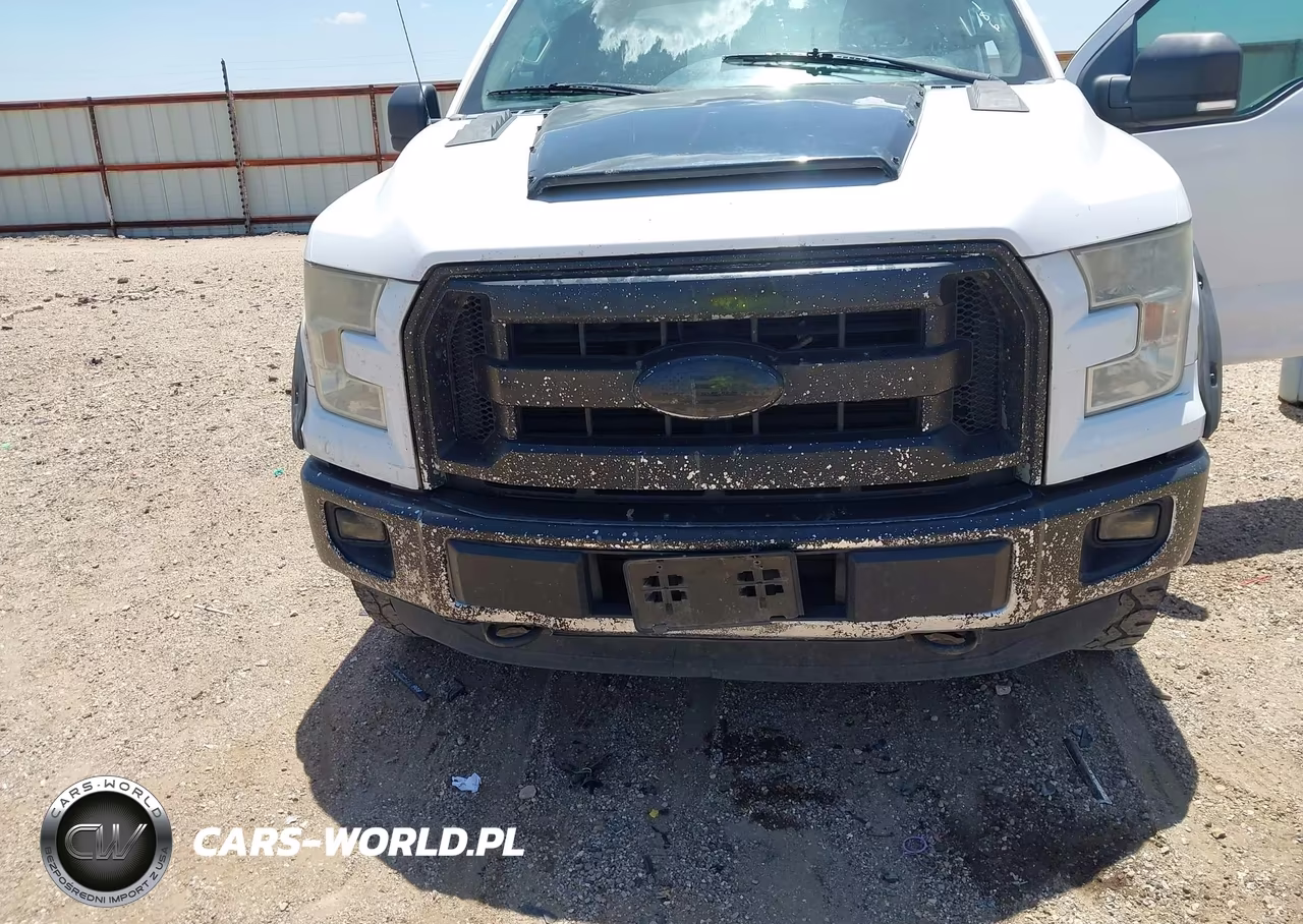 2015 Ford F-150 Xlt VIN:1FTEW1EG6FKE29186 - 6