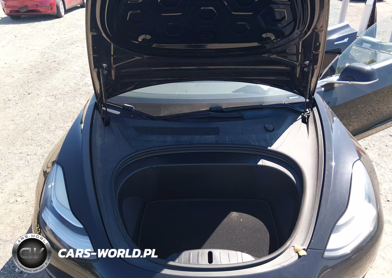 2019 Tesla Model 3 Long Range-Mid Range-Standard Range-Standard Range Plus VIN:5YJ3E1EA6KF407461 - 10