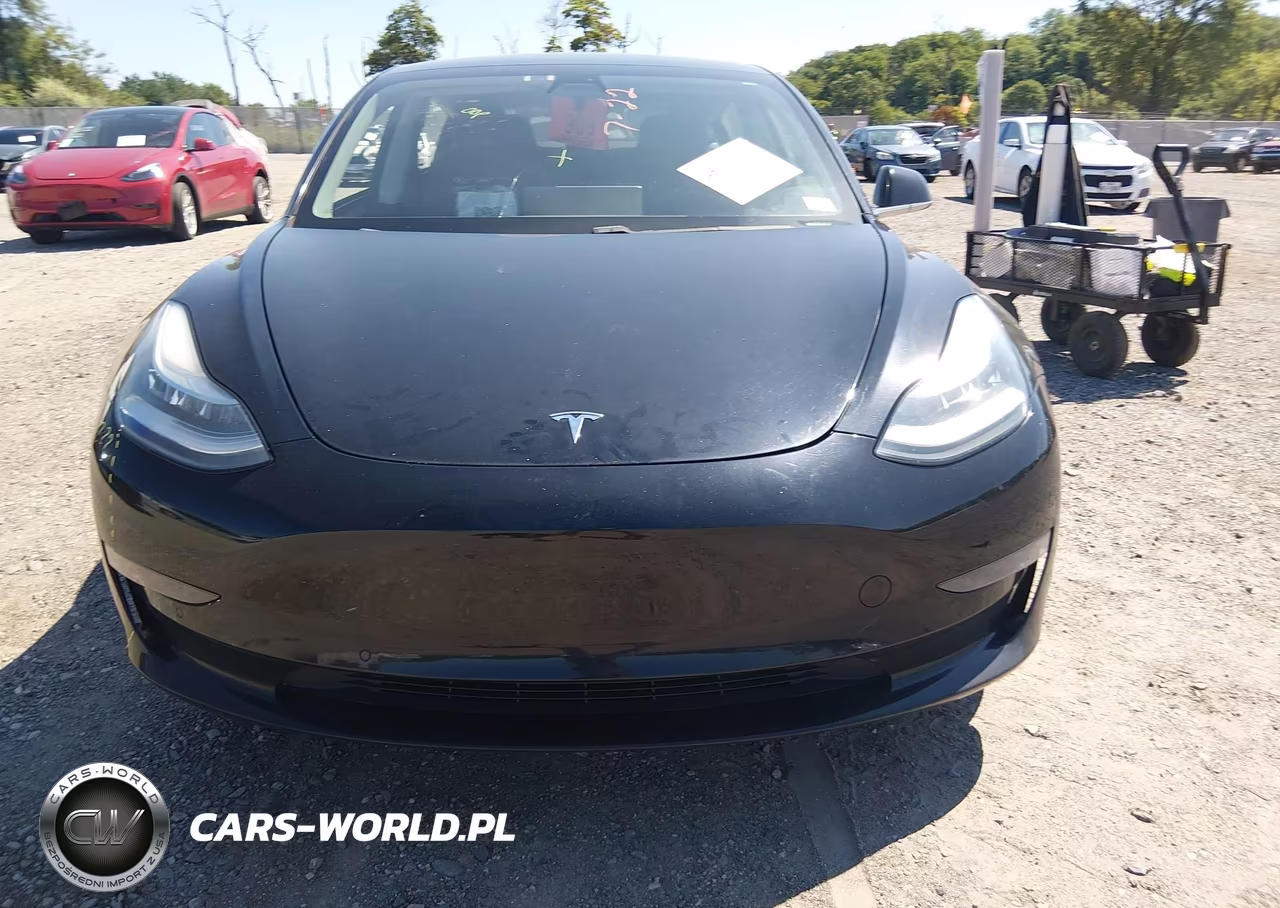 2019 Tesla Model 3 Long Range-Mid Range-Standard Range-Standard Range Plus VIN:5YJ3E1EA6KF407461 - 13