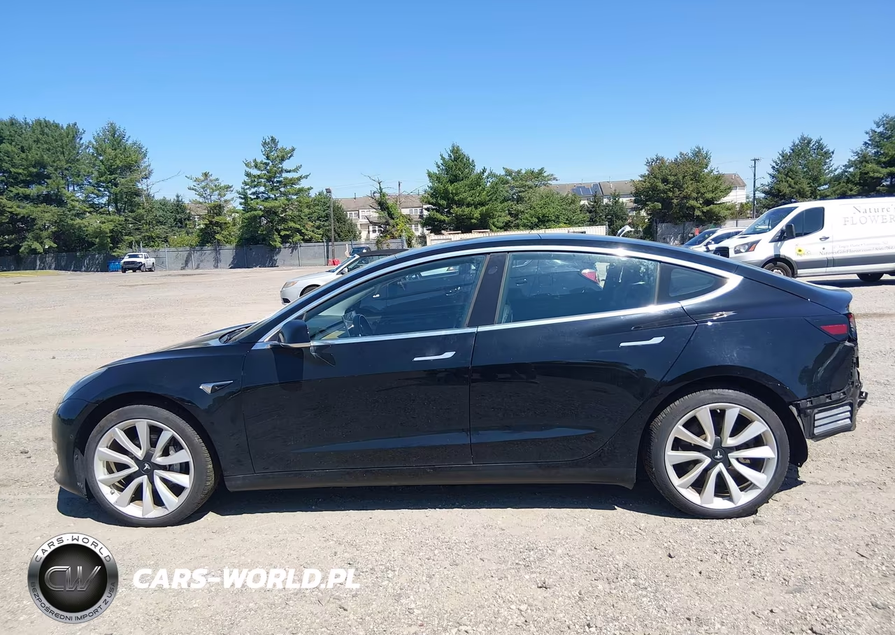 2019 Tesla Model 3 Long Range-Mid Range-Standard Range-Standard Range Plus VIN:5YJ3E1EA6KF407461 - 15