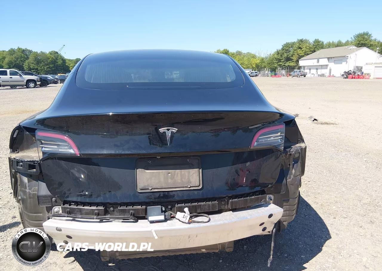 2019 Tesla Model 3 Long Range-Mid Range-Standard Range-Standard Range Plus VIN:5YJ3E1EA6KF407461 - 17