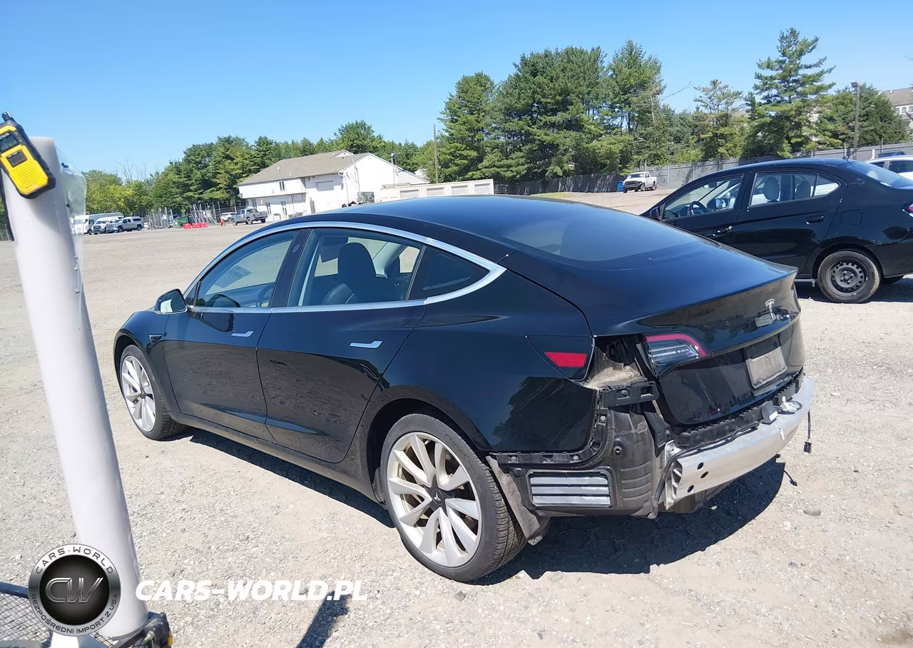 2019 Tesla Model 3 Long Range-Mid Range-Standard Range-Standard Range Plus VIN:5YJ3E1EA6KF407461 - 3