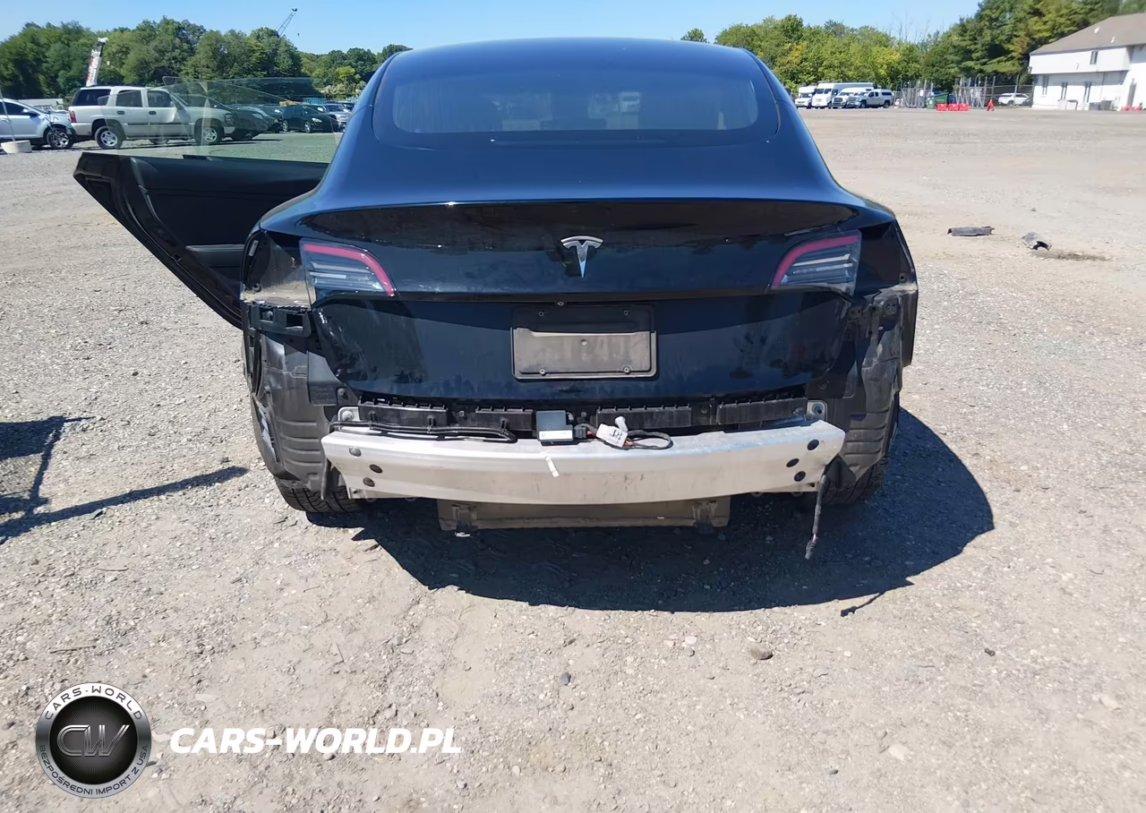 2019 Tesla Model 3 Long Range-Mid Range-Standard Range-Standard Range Plus VIN:5YJ3E1EA6KF407461 - 6