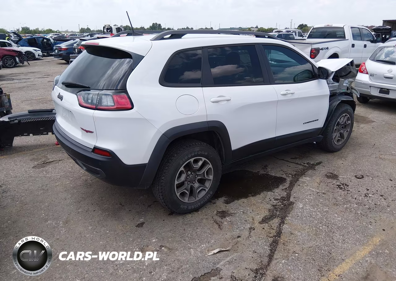 2020 Jeep Cherokee Trailhawk 4X4 VIN:1C4PJMBX2LD590311 - 4