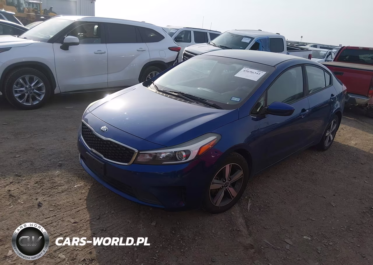 2018 Kia Forte Lx VIN:3KPFL4A7XJE168791 - 2
