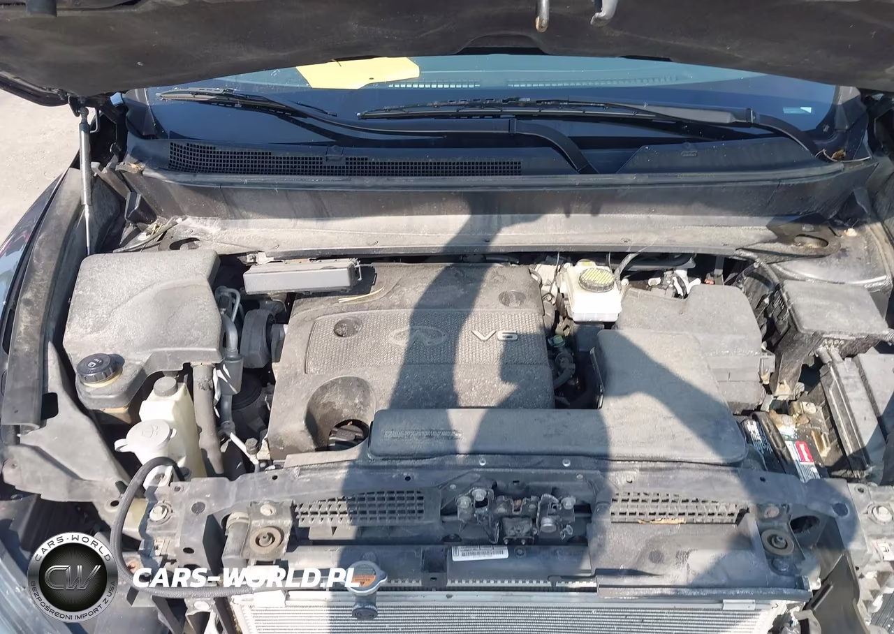 2016 Infiniti Qx60 VIN:5N1AL0MM6GC524069 - 10
