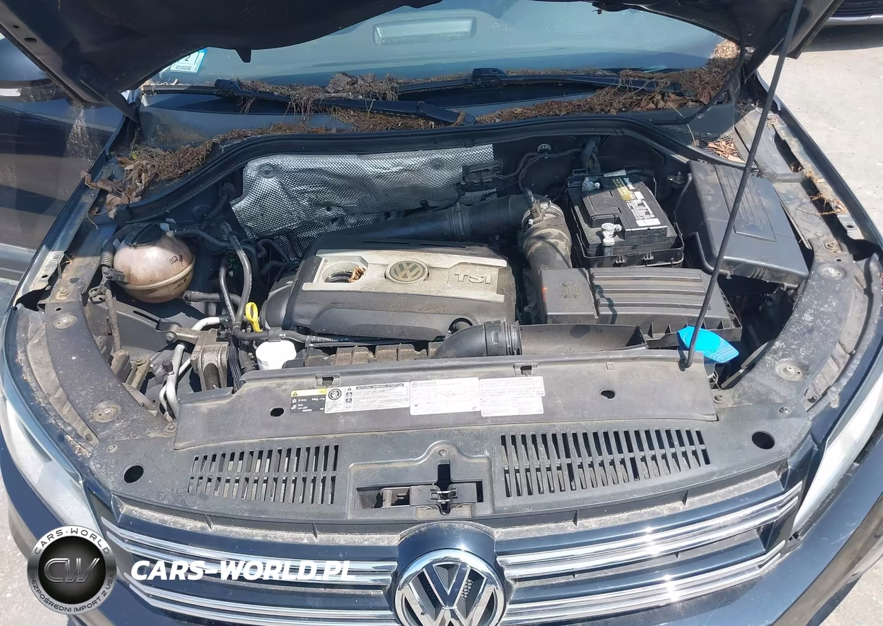 2014 Volkswagen Tiguan Sel VIN:WVGBV3AX4EW562121 - 10