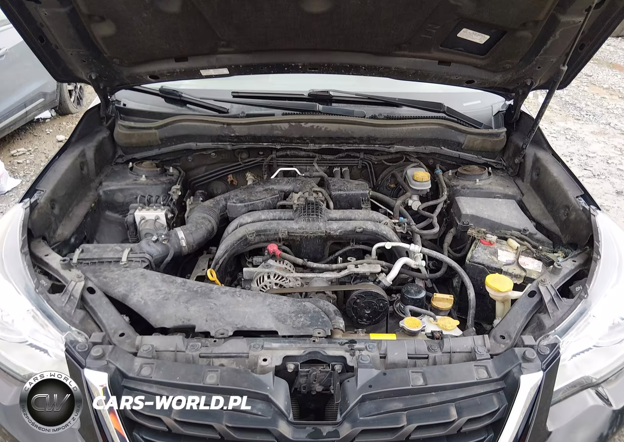 2017 Subaru Forester 2.5I Premium VIN:JF2SJADC1HH437164 - 10