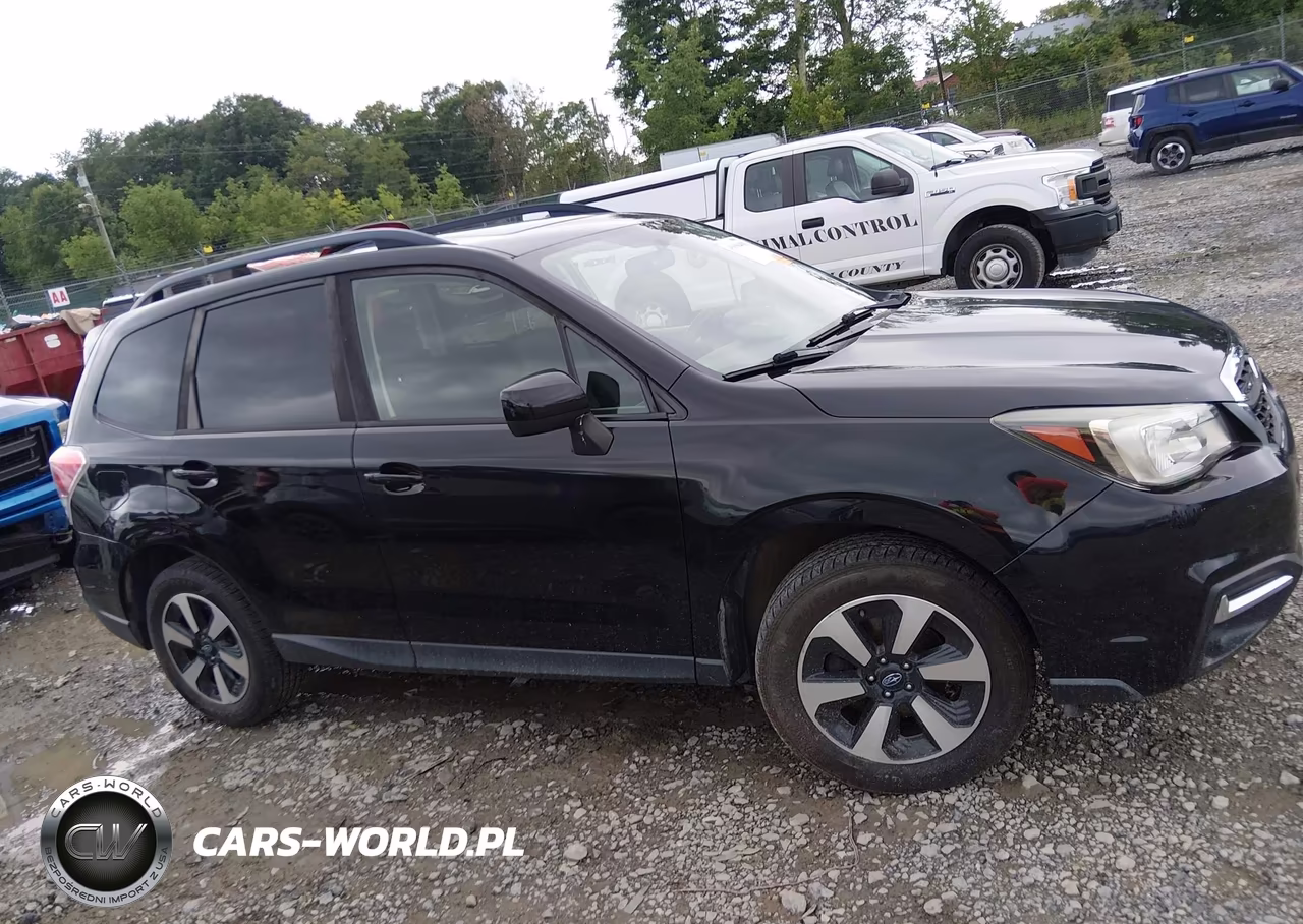 2017 Subaru Forester 2.5I Premium VIN:JF2SJADC1HH437164 - 13