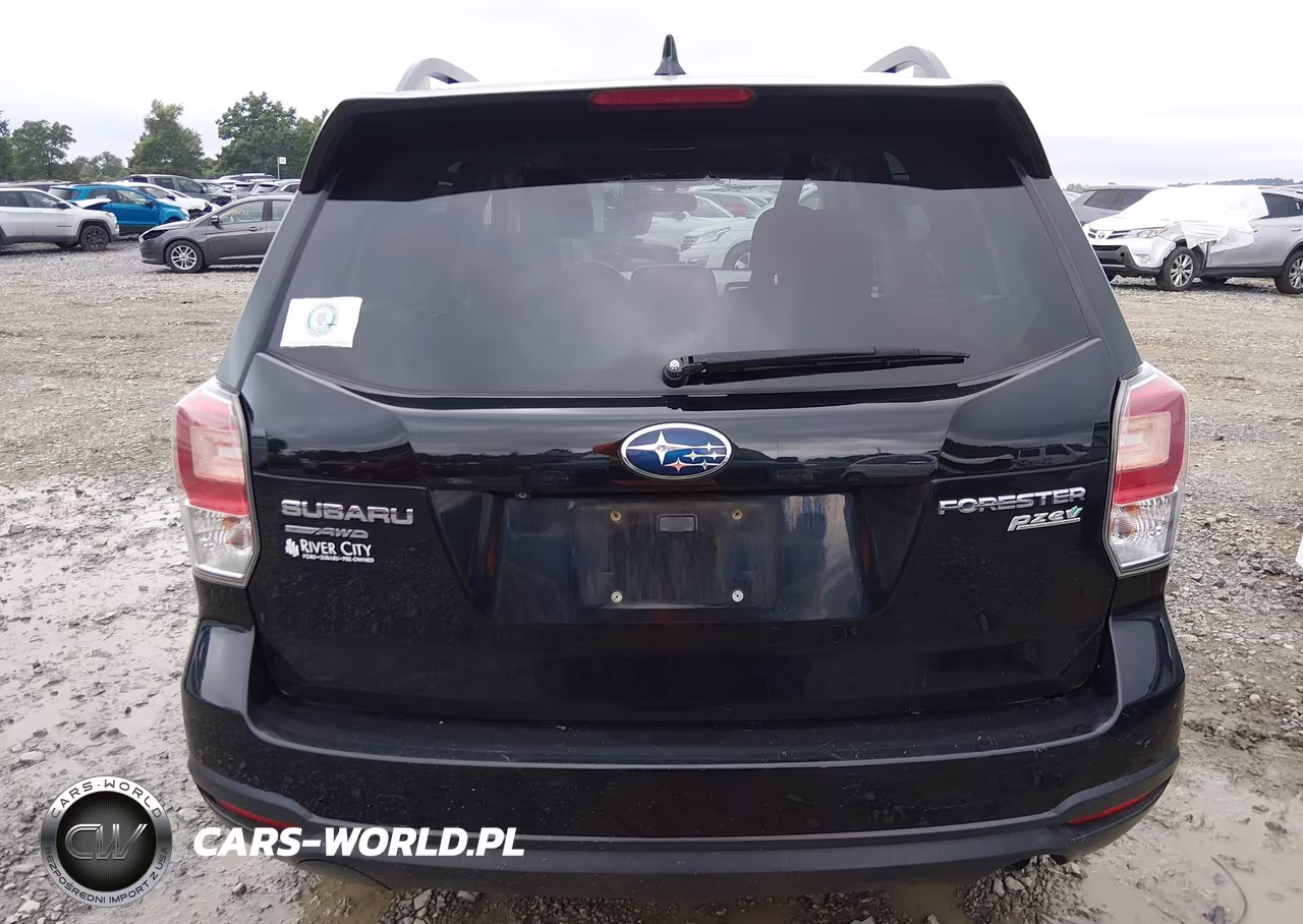 2017 Subaru Forester 2.5I Premium VIN:JF2SJADC1HH437164 - 16