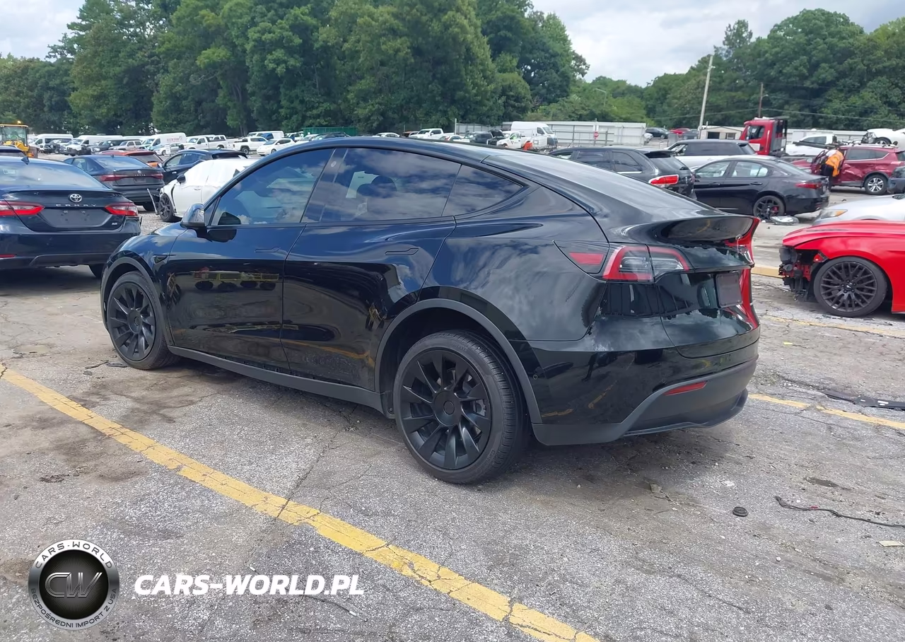 2021 Tesla Model Y Long Range Dual Motor All-Wheel Drive VIN:5YJYGDEE3MF176221 - 3