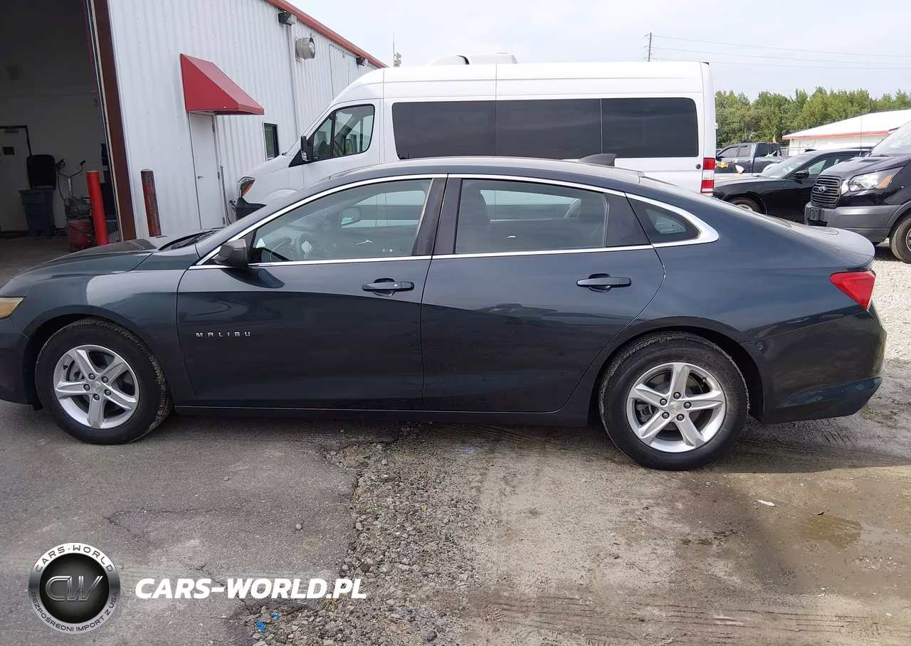 2020 Chevrolet Malibu Fwd 1Fl VIN:1G1ZC5STXLF134057 - 14